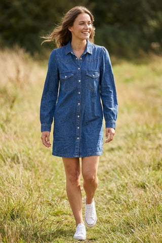 Model