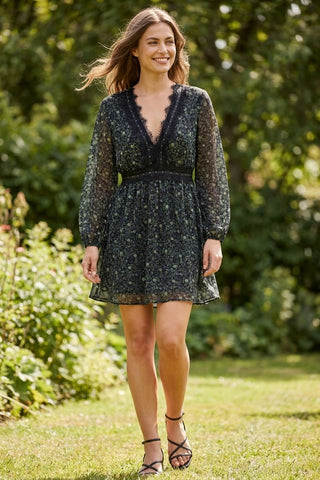 Model