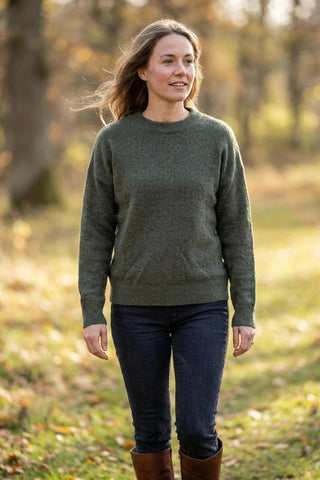 Model
